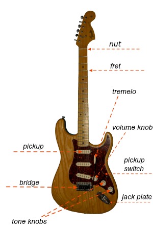 guitar anatomy and tone